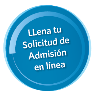 solicitud en linea-01