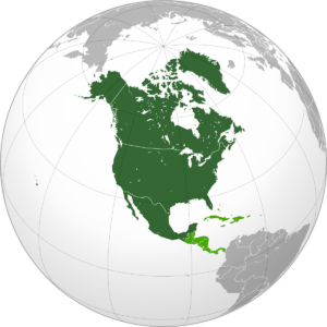 Location_North_America,_all_conceptions.svg